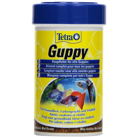 best food for guppies